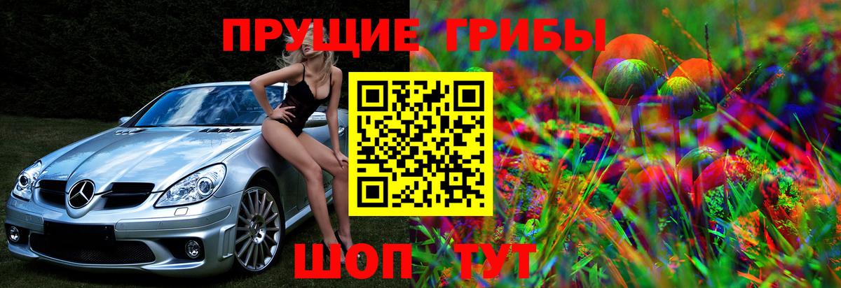 Псилоцибиновые грибы Cubensis  Псилоцибиновые грибы мицелий  Ливны  Вход с VPN 